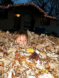 Jumping in a pile of leaves is just one outdoor activity your kids will enjoy
