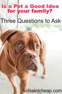 Is a pet a good idea for your family? Here are some questions to ask before venturing into pet ownership.
