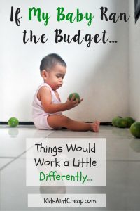 If I let my baby run the budget...things would definitely work differently...