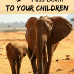 My Wife's Pregnant - Now What?